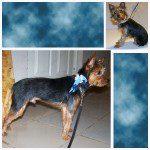jayden's grooming