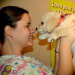How to Brush Your Dog Like a Pro VIDEO How to Brush Your Dog Like a Pro VIDEO