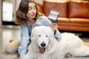 best deshedding tool options